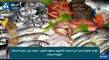 موجة ارتفاع جديدة في أسعار الكابوريا بسوق العبور.. تعرف على سعر السمك اليوم الأربعاء